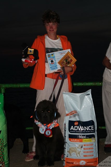 Фотография № 109470