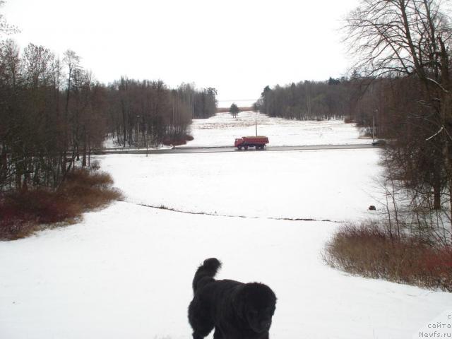 Фотография № 10948