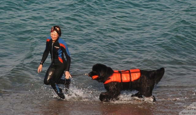 Фотография № 109488