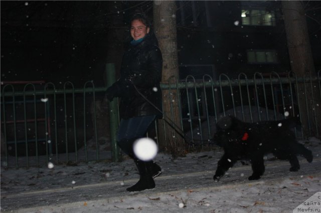 Фотография № 109496