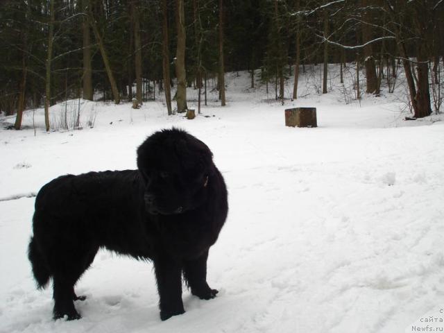 Фотография № 10951