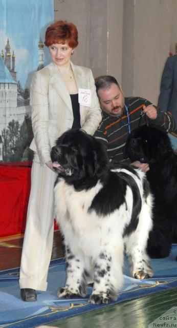 Фотография № 10955