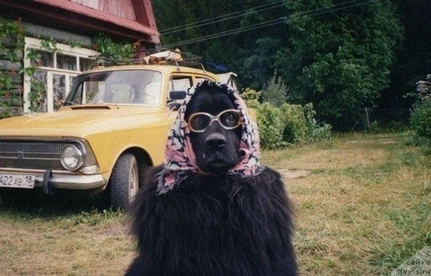 Фотография № 109565