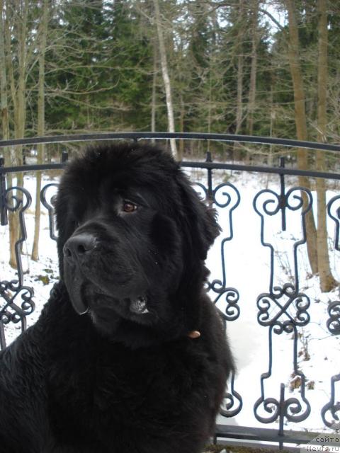 Фотография № 10957