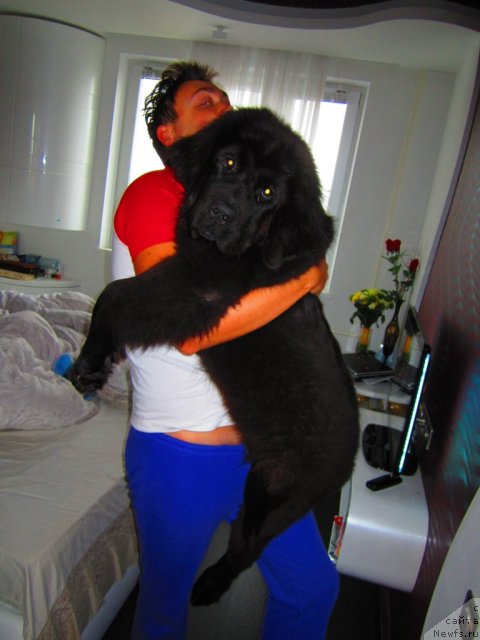 Фото: Irina Dyujenko (Ирина Дюженко)