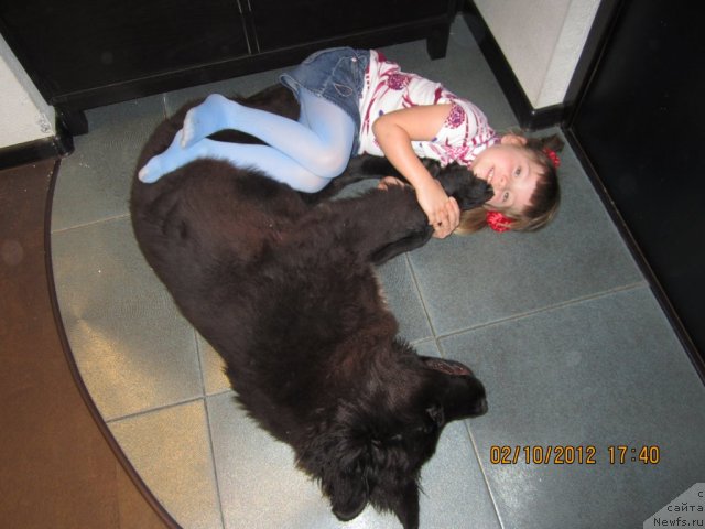 Фотография № 109575