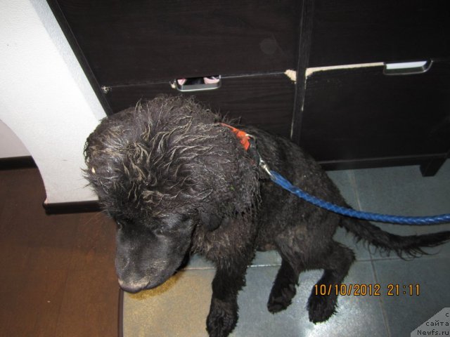 Фото: Irina Dyujenko (Ирина Дюженко)