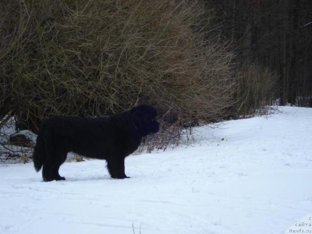 Фотография № 10962