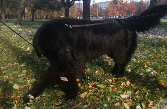 Фото: Kseniya CHesnokova (Ксения Чеснокова)