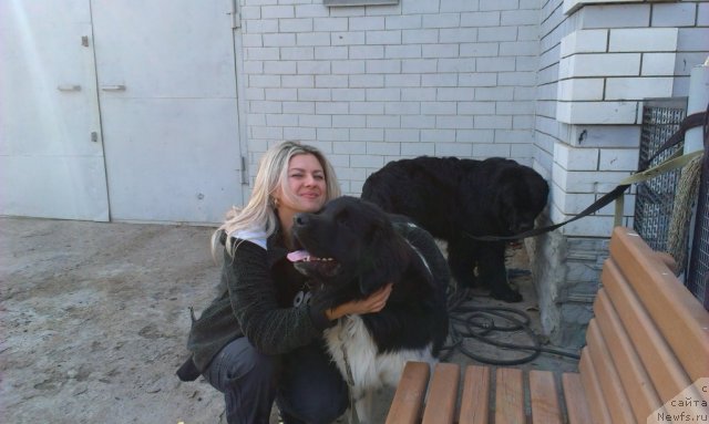 Фотография № 109629