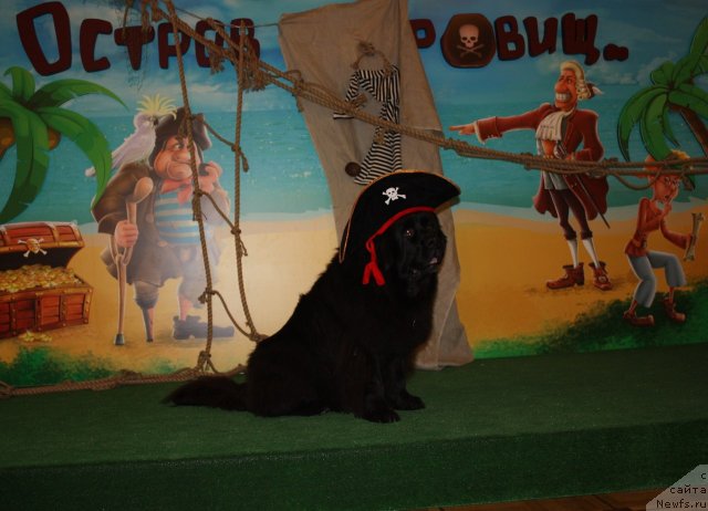 Фотография № 109632