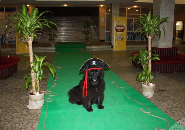 Фотография № 109633