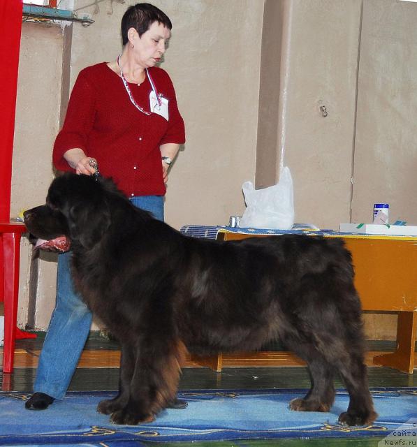 Фотография № 10964