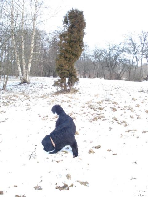 Фотография № 10967