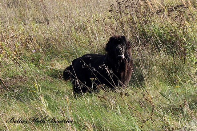 Фотография № 109763