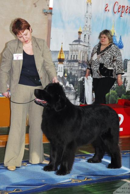 Фотография № 10980