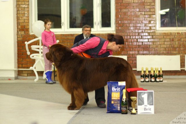 Фотография № 109824