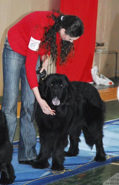 Фотография № 10987