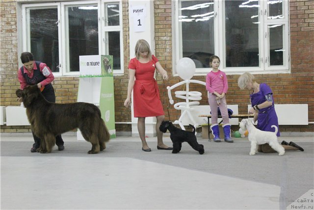 Фотография № 109878