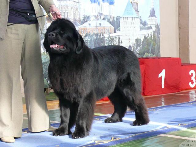 Фотография № 10988