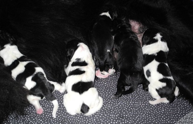 Фотография № 109882