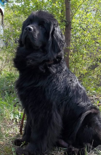 Фотография № 109887