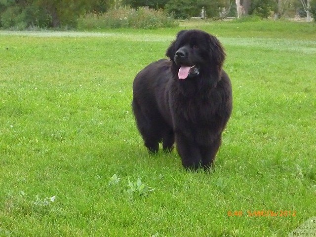 Фото: Marina Marushkina (Марина Марушкина)