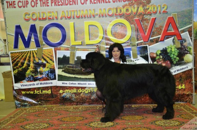 Фотография № 109908