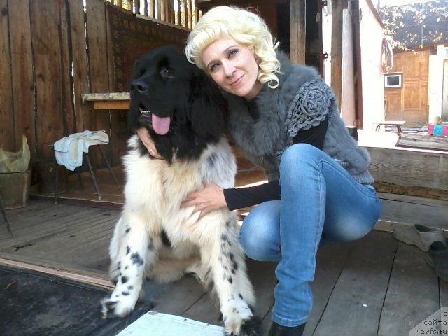 Фото: ньюфаундленд Super Bizon Jofrey (Супер Бизон Жофрей), ньюфаундленд Super Bizon Jofrey (Супер Бизон Жофрей), Elena YArosh (Елена Ярош)