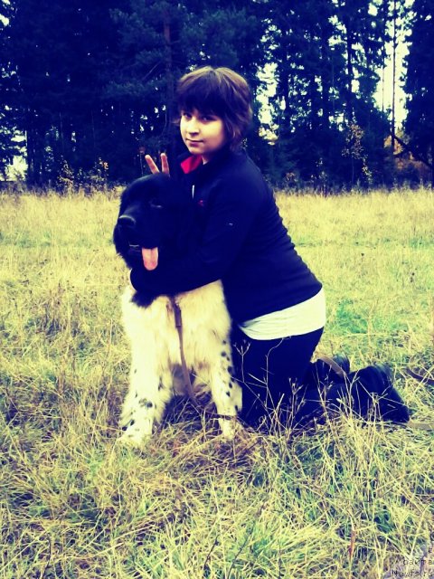 Фото: ньюфаундленд Super Bizon Jofrey (Супер Бизон Жофрей), ньюфаундленд Super Bizon Jofrey (Супер Бизон Жофрей)