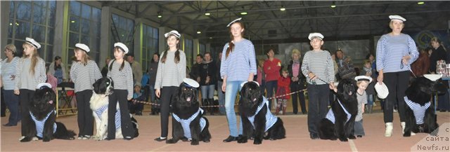 Фотография № 109933