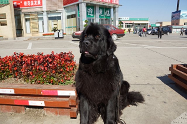 Фотография № 109935