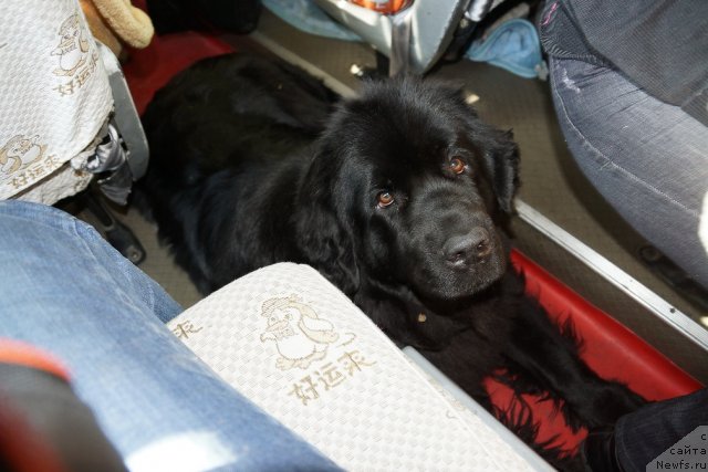 Фотография № 109936