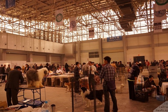 Фотография № 109937