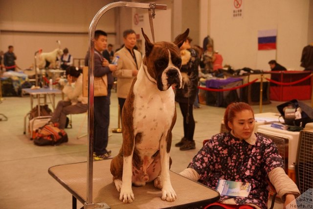 Фотография № 109938