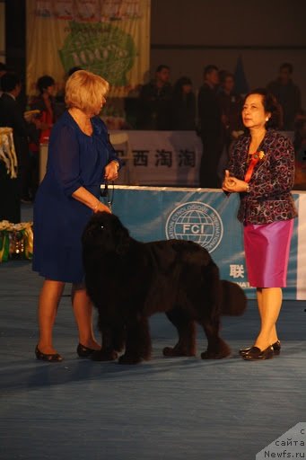 Фотография № 109941