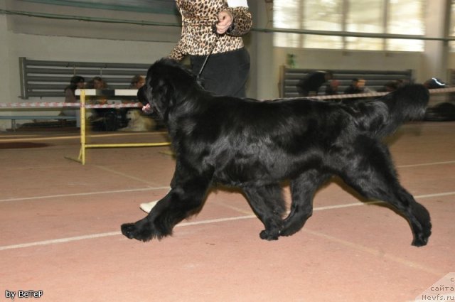 Фотография № 109951