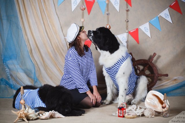 Фотография № 109955