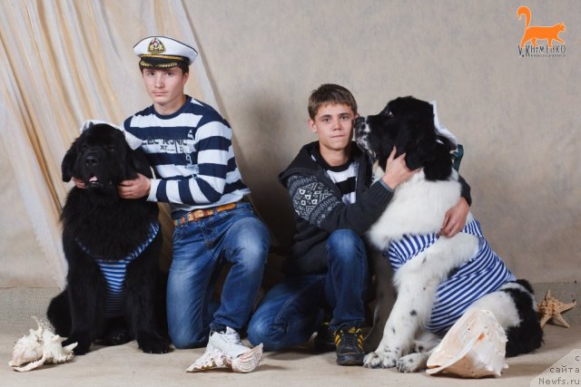 Фотография № 109956