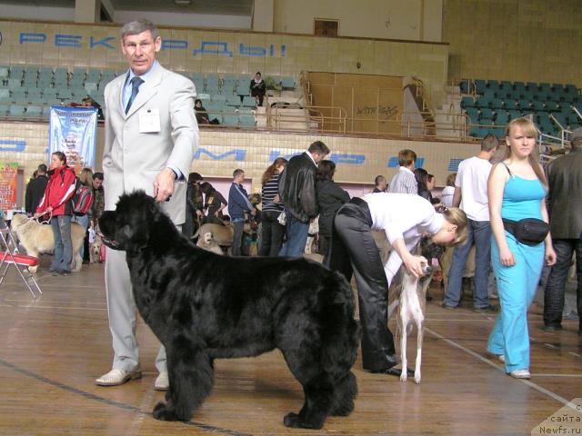 Фотография № 10999