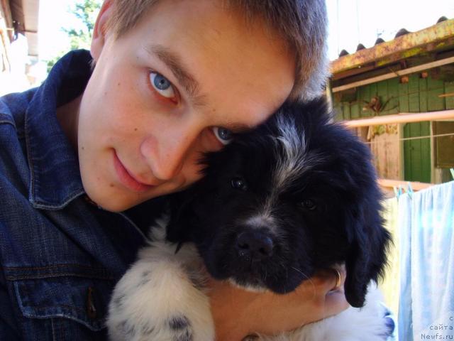 Фото: ньюфаундленд Plushevaya Panda Deniza Dlja  Berega Dona (Плюшевая Панда Дениза для Берега Дона), Evgeniy Nenaglyadov (Евгений Ненаглядов)