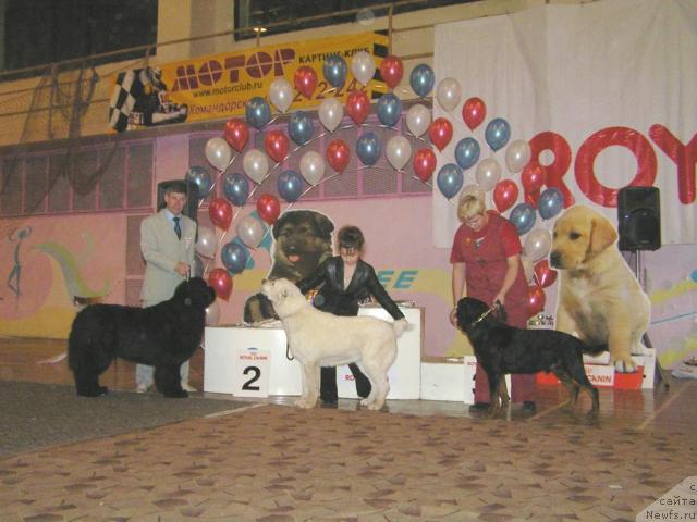 Фотография № 11000