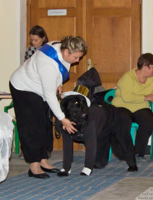 Фото: Черный Балу Борислав