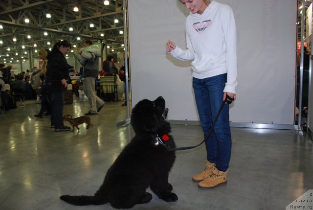 Фотография № 110045