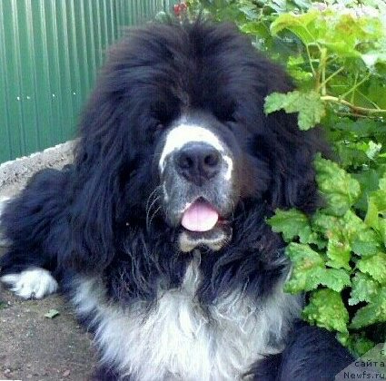 Фотография № 110048