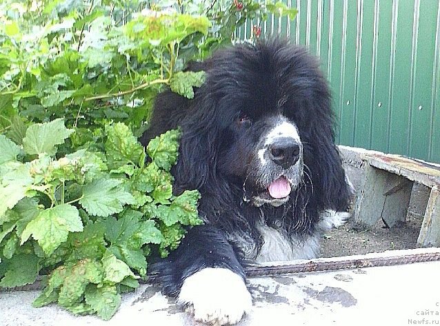 Фотография № 110049