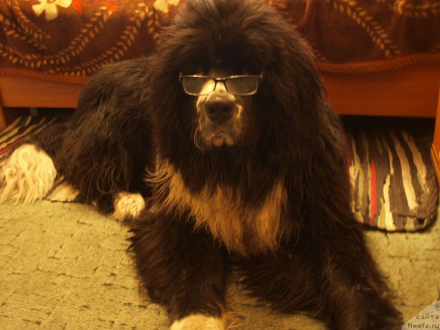 Фотография № 110051