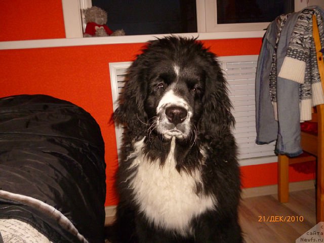 Фотография № 110052