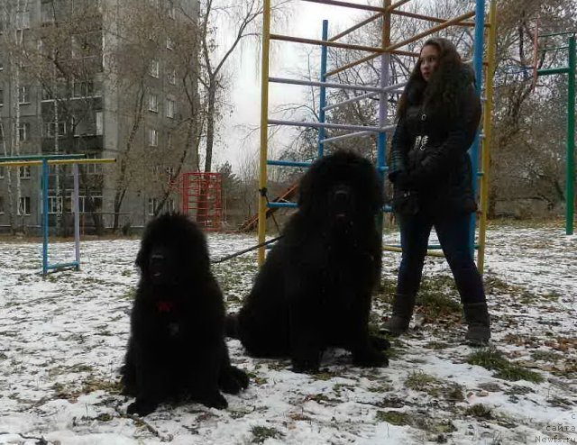 Фотография № 110091