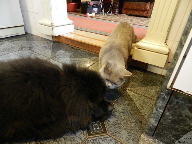 Фотография № 110092